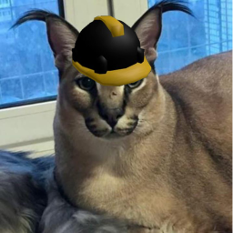 Cat obby [devlopment]