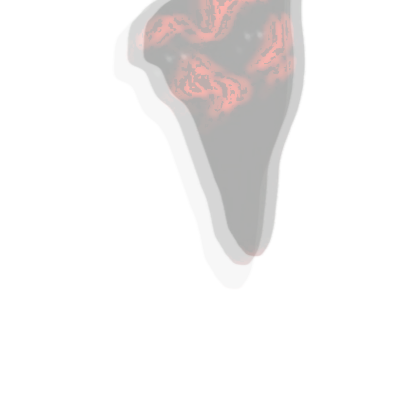 C2