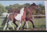 Pony and horse :]