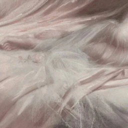 ✧ icon