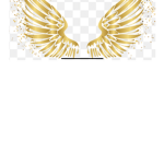 Sebastian light wings