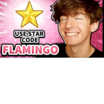A Flamingo Fan Group (not real)