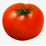 Fresh Tomatos