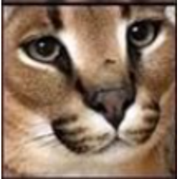dontian pls buy a game pass