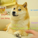 DOGE!!!!!!!!"