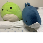 자니