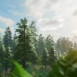 The Realistic Forest of Roblox!  icon
