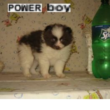 plop's room [TESTING & BUILDING]