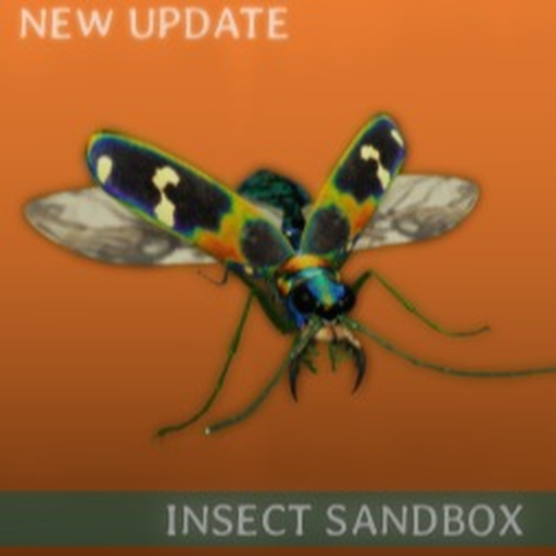 Insect Sandbox