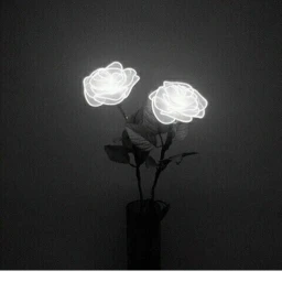 🌹 icon