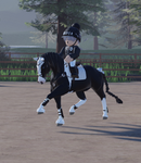 The Saddle Club Academy