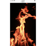 Fire Squad fire