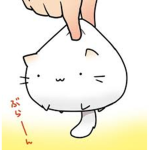 Fluffy Cat Studio