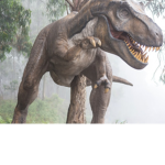 Omg hi dinos omg