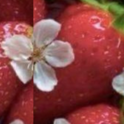 🍓....🍓