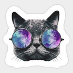 GalaxxyCats