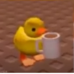 Join if you like ducks bc why not?