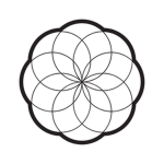 Circle Experiences
