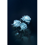 ~The Blue Rose~