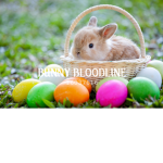 bunniᴥbloodline