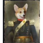 Corgi's military