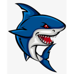 THE GREAT WHITES SHARKS
