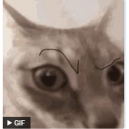 Roblox animal game really fun!