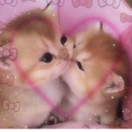 bxby.angelz