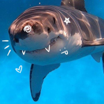 coral !!