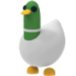 The Adopt Me Ducks