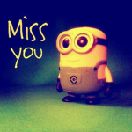 solarios.