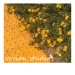 vivian studios