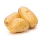Studio Potatoes Group Thumbnail