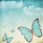butterflyyyyyyyyy