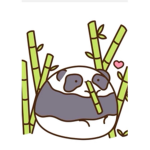 pandas that are people