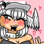 Draceys commissions