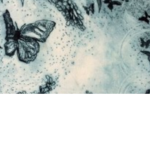Moth<3