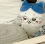 Gatos TvT