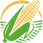 Perfect Corn Studio