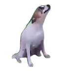 *The Hype Penguins!*