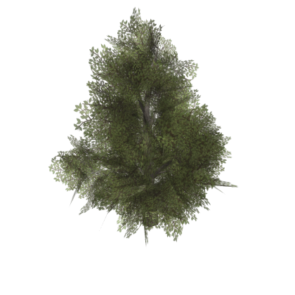 Decid Tree 2