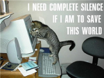 cats that wanna make u lol