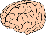 The Brain Mafia
