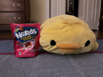 THE MOST EPIC DUCKS