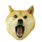 MLG THE VERY BEST
