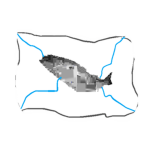 Fogrtnen feesh fatctoruy