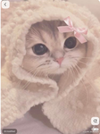 ~little Cherry’s~