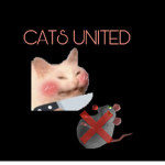 CATS UNITED KINGDOM!