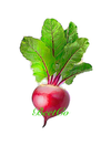 Beet Corporations