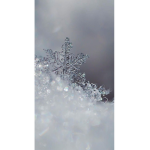 SSSnow army